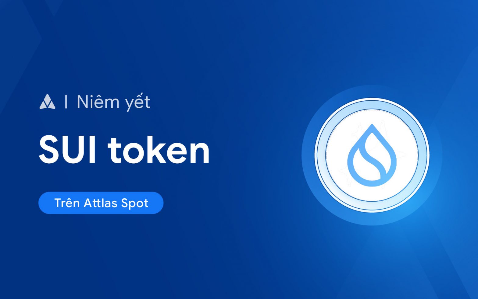 SUI TOKEN